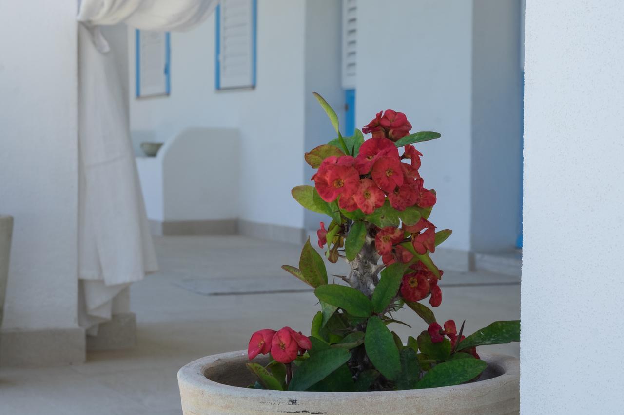 Albergo Isola Mia Favignana Bagian luar foto
